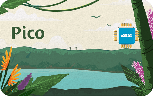 pico-7days-1gb