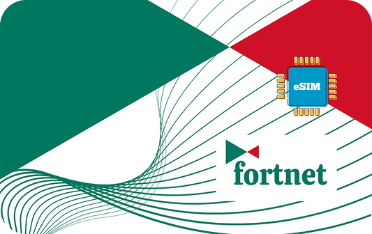 fortnet-7days-1gb